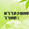 新飞飞多少级转职（新飞飞转职）
