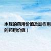 水蛭的药用价值及副作用（水蛭的药用价值）