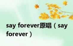 say forever原唱（say forever）