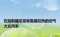 在加利福尼亚收集最狂热的空气大众汽车
