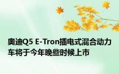 奥迪Q5 E-Tron插电式混合动力车将于今年晚些时候上市 