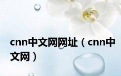 cnn中文网网址（cnn中文网）