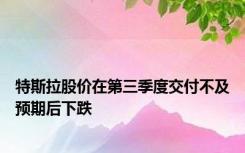 特斯拉股价在第三季度交付不及预期后下跌
