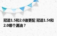 冠道1.5和2.0谁更配 冠道1.5t和2.0哪个漏油？