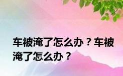 车被淹了怎么办？车被淹了怎么办？