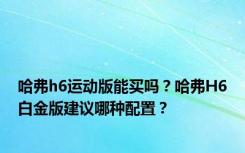 哈弗h6运动版能买吗？哈弗H6白金版建议哪种配置？
