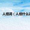 人组词（人组什么词）