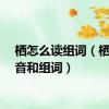 栖怎么读组词（栖的读音和组词）