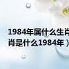 1984年属什么生肖（生肖是什么1984年）