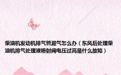柴油机发动机排气管漏气怎么办（东风后处理柴油机排气处理液喷射阀电压过高是什么故障）