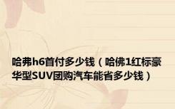 哈弗h6首付多少钱（哈佛1红标豪华型SUV团购汽车能省多少钱）