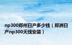 np300郑州日产多少钱（郑洲日产np300天线安装）