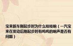 宝来新车刚起步时为什么吱吱响（一汽宝来在发动后刚起步时有呜呜的响声是否有问题）