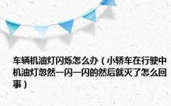 车辆机油灯闪烁怎么办（小轿车在行驶中机油灯忽然一闪一闪的然后就灭了怎么回事）