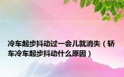 冷车起步抖动过一会儿就消失（轿车冷车起步抖动什么原因）