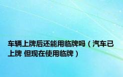车辆上牌后还能用临牌吗（汽车已上牌 但现在使用临牌）