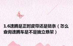 1.6速腾是正时皮带还是链条（怎么查询速腾车是不是独立悬架）