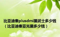 比亚迪秦plusdmi黑武士多少钱（比亚迪秦亚光黑多少钱）