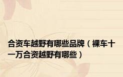 合资车越野有哪些品牌（裸车十一万合资越野有哪些）