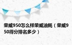 荣威950怎么样荣威油耗（荣威950得分排名多少）