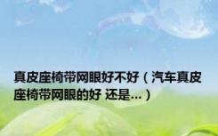 真皮座椅带网眼好不好（汽车真皮座椅带网眼的好 还是…）
