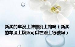 新买的车没上牌照能上路吗（新买的车没上牌照可以在路上行驶吗）