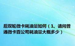 后双轮微卡耗油量如何（1、请问普通微卡百公司耗油量大概多少）