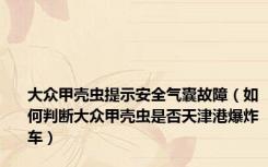 大众甲壳虫提示安全气囊故障（如何判断大众甲壳虫是否天津港爆炸车）