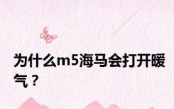 为什么m5海马会打开暖气？