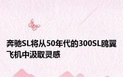 奔驰SL将从50年代的300SL鸥翼飞机中汲取灵感