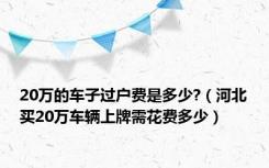 20万的车子过户费是多少?（河北买20万车辆上牌需花费多少）