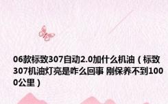 06款标致307自动2.0加什么机油（标致307机油灯亮是咋么回事 刚保养不到1000公里）