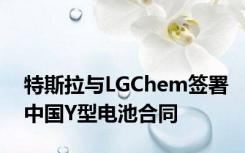 特斯拉与LGChem签署中国Y型电池合同