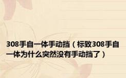 308手自一体手动挡（标致308手自一体为什么突然没有手动挡了）