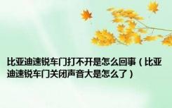 比亚迪速锐车门打不开是怎么回事（比亚迪速锐车门关闭声音大是怎么了）