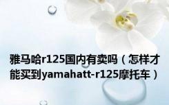 雅马哈r125国内有卖吗（怎样才能买到yamahatt-r125摩托车）