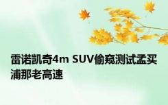 雷诺凯奇4m SUV偷窥测试孟买浦那老高速