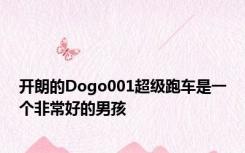 开朗的Dogo001超级跑车是一个非常好的男孩