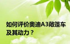 如何评价奥迪A3敞篷车及其动力？