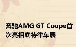 奔驰AMG GT Coupe首次亮相底特律车展