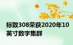 标致308荣获2020年10英寸数字集群