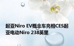 起亚Niro EV概念车亮相CES起亚电动Niro 238英里