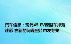 汽车信息：现代45 EV原型车掉落迷彩 在新的间谍照片中发芽笼