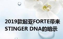 2019款起亚FORTE带来STINGER DNA的暗示