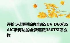 评价:米切里斯的全新SUV D60和SAIC斯柯达的全新速派380TSI怎么样