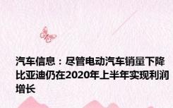 汽车信息：尽管电动汽车销量下降 比亚迪仍在2020年上半年实现利润增长