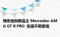 绿色地狱新霸主 Mercedes-AMG GT R PRO  张扬不羁豪情