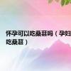 怀孕可以吃桑葚吗（孕妇能不能吃桑葚）