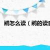 鹇怎么读（鹇的读音）