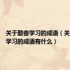 关于勤奋学习的成语（关于勤奋学习的成语有什么）